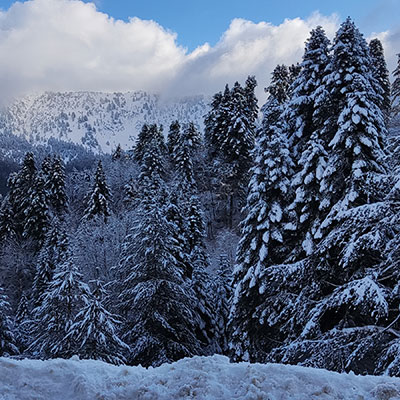 anilio-small-header