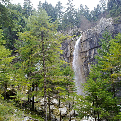 waterfalls-theodorianna-small-header